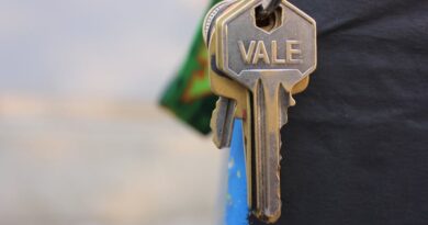 Unlocking Server Protection: Tool Overview